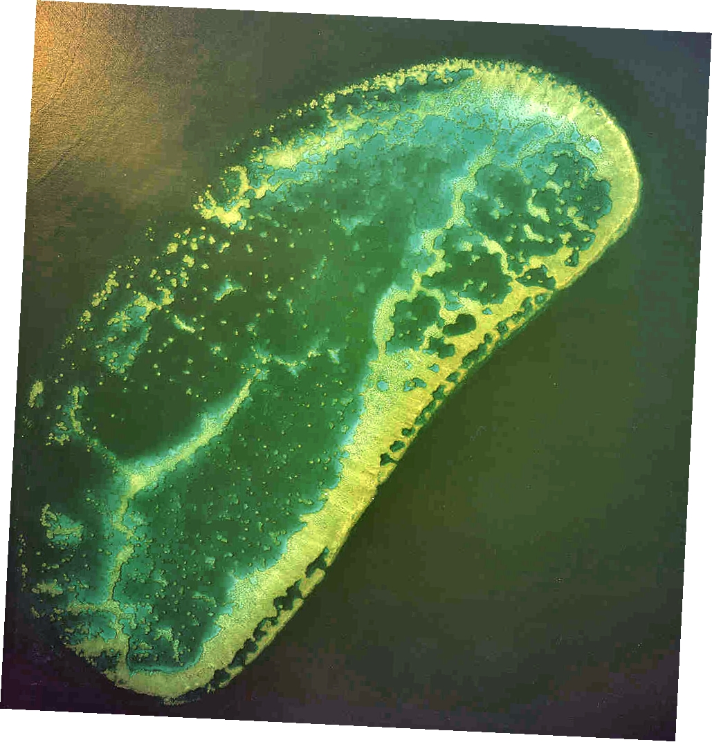 Davies Reef Air Photo JPG